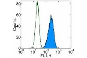 Image no. 1 for anti-Integrin AlphaV, Integrin Beta3 (ITGAV/ITGB3) antibody (FITC) (ABIN473585) (CD51/CD61 antibody  (FITC))