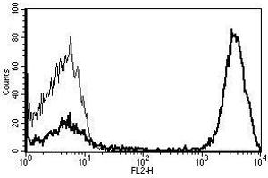 A typical staining pattern with the B-B11 monoclonal antibody of lymphocytes (CD3 antibody  (Biotin))