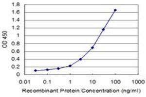 Detection limit for recombinant GST tagged HOXA5 is approximately 0. (HOXA5 antibody  (AA 171-270))