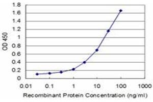 Detection limit for recombinant GST tagged HOXA5 is approximately 0. (HOXA5 antibody  (AA 171-270))