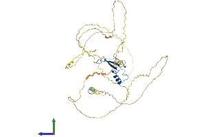 Protein Structure (PS) image for Methyl CpG Binding Protein 2 (MECP2) (AA 1-486) protein (His tag) (ABIN7549281)
