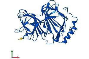 AlphaFold protein structure predicition of Human Recombinant PIR Protein, UniprotID O00625
