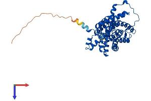 SLC14A1 Protein (AA 1-389) (His tag)