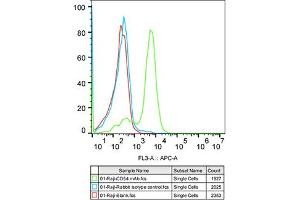 Flow cytometry: Raji cells were stained with Rabbit IgG isotype control (, 10 μg/mL, blue line) or ICAM-1/CD54 Rabbit mAb (ABIN7267941, 10 μg/mL green line), followed by Alexa Fluor 647 conjugated goat anti-rabbit pAb(1:600 dilution) staining. (ICAM1 antibody)