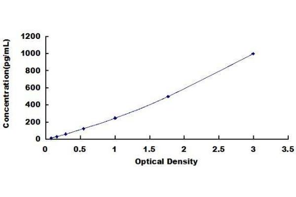 ATG3 ELISA Kit