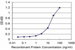 Detection limit for recombinant GST tagged CANX is approximately 1ng/ml as a capture antibody. (Calnexin antibody  (AA 504-592))