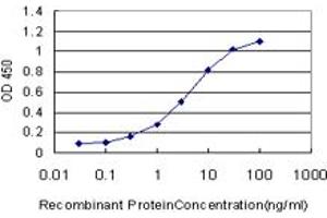 Detection limit for recombinant GST tagged SP1 is approximately 0. (SP1 antibody  (AA 89-198))