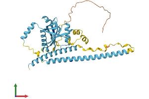 AlphaFold protein structure predicition of Mouse Recombinant Eif3h Protein, UniprotID Q91WK2