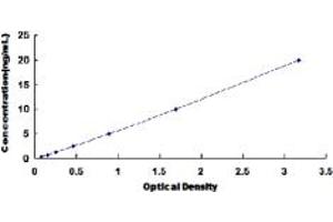 Typical standard curve (Prokineticin Receptor 2 ELISA Kit)