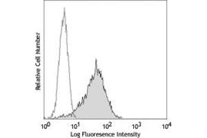 Image no. 1 for anti-Tumor Necrosis Factor Receptor Superfamily, Member 13B (TNFRSF13B) antibody (ABIN205574) (TACI antibody)