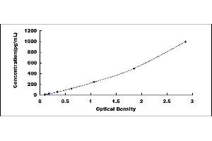 Typical standard curve (IL-7 ELISA Kit)