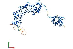 Protein Structure (PS) image for Tubulin Folding Cofactor E-Like (TBCEL) (AA 1-424) protein (His tag) (ABIN7559160)