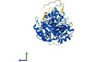 AlphaFold protein structure predicition of Human Recombinant NARF Protein, UniprotID Q9UHQ1 (NARF Protein (AA 1-456) (His tag))