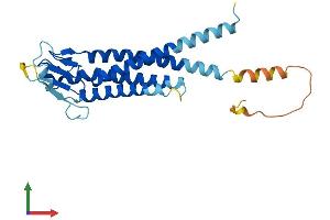 AlphaFold protein structure predicition of Human Recombinant LHFPL4 Protein, UniprotID Q7Z7J7