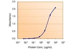 Image no. 3 for anti-Glucose-6-Phosphate Dehydrogenase (G6PD) (AA 308-320), (Internal Region) antibody (ABIN374790) (Glucose-6-Phosphate Dehydrogenase antibody  (Internal Region))