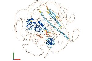 AlphaFold protein structure predicition of Mouse Recombinant Camsap1 Protein, UniprotID A2AHC3 (CAMSAP1 Protein (AA 1-1581) (His tag))