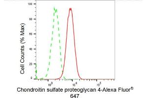 Flow cytometric analysis of Chondroitin sulfate proteoglycan 4 expression in C2C12 cells using Chondroitin sulfate proteoglycan 4 antibody (ABIN7799361), 1:2,000). (Recombinant NG2 antibody)