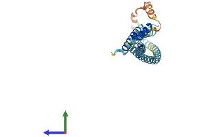 AlphaFold protein structure predicition of Human Recombinant STX8 Protein, UniprotID Q9UNK0 (STX8 Protein (AA 1-236) (His tag))
