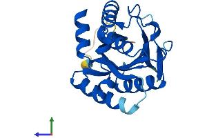 AlphaFold protein structure predicition of Mouse Recombinant Emc8 Protein, UniprotID O70378