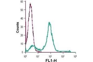 Cell surface detection of monocarboxylate transporter 1 in live intact human Jurkat T-cell leukemia cells: (black line) Cells. (SLC16A1 antibody  (6th Extracellular Loop))