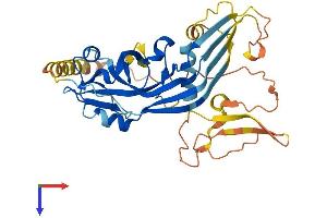 Pejvakin Protein (AA 1-352) (His tag)