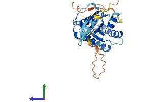 Protein Structure (PS) image for RAS-Like, Family 11, Member B (RASL11B) (AA 1-247) protein (His tag) (ABIN7560223)