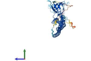 AlphaFold protein structure predicition of Mouse Recombinant Sh3gl3 Protein, UniprotID Q62421