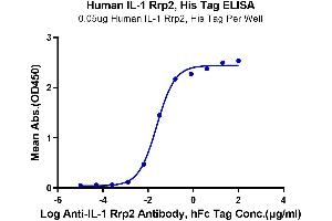 Immobilized Human IL-1 Rrp2 at 0. (IL1RL2 Protein (AA 20-335) (His-Avi Tag))