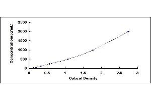 Typical standard curve (LRP2 ELISA Kit)