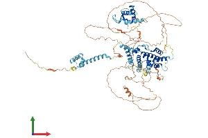 AlphaFold protein structure predicition of Human Recombinant DEPDC1 Protein, UniprotID Q5TB30