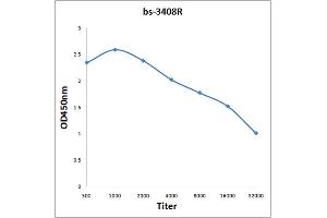 Antigen: 0. (NCOA3 antibody  (pThr24))