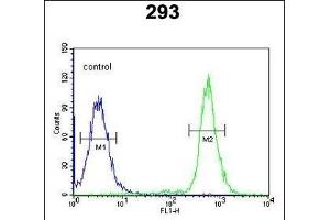 A2ML1 Antibody (N-term) (ABIN650922 and ABIN2839996) flow cytometric analysis of 293 cells (right histogram) compared to a negative control cell (left histogram). (A2ML1 antibody  (N-Term))