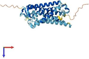 AlphaFold protein structure predicition of Human Recombinant OR10AC1 Protein, UniprotID Q8NH08 (OR10AC1P Protein (AA 1-325) (His tag))