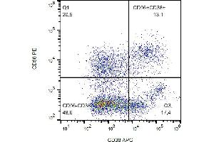 Flow cytometry analysis (surface staining) of human peripheral blood with anti-human CD38 (HIT2) APC. (CD38 antibody  (APC))