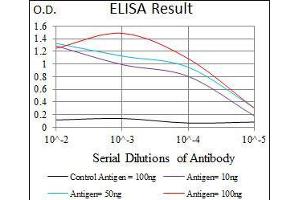 Black line: Control Antigen (100 ng), Purple line: Antigen(10 ng), Blue line: Antigen (50 ng), Red line: Antigen (100 ng), (Osteopontin antibody  (AA 167-314))