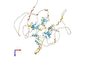 AlphaFold protein structure predicition of Human Recombinant ZNF219 Protein, UniprotID Q9P2Y4