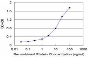 Detection limit for recombinant GST tagged FOXL1 is approximately 0. (FOXL1 antibody  (AA 221-319))