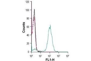 Cell surface detection of CX3CR1 in human THP-1 monocytic leukemia cells:(black line) Cells. (CX3CL1 antibody  (Extracellular))