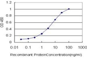 Detection limit for recombinant GST tagged BCL7C is approximately 0. (BCL7C antibody  (AA 86-164))