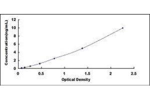 Tight Junction Protein 1 (TJP1) ELISA Kit