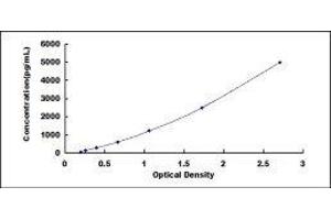 Endothelial PAS Domain Protein 1 (EPAS1) ELISA Kit