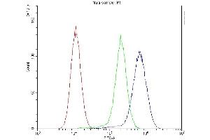 Flow Cytometry analysis of U-87 cells using anti-MVP antibody (ABIN5692897). (MVP antibody  (AA 2-259))