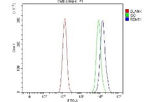 Flow Cytometry analysis of HEL cells using anti-RBM11 antibody (ABIN7599152). (RBM11 antibody  (AA 1-246))