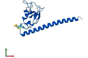 Protein Structure (PS) image for Baculoviral IAP Repeat-Containing 5 (BIRC5) (AA 1-142) protein (His tag) (ABIN7552619)