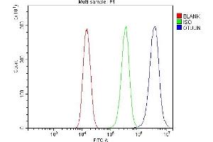 Flow Cytometry analysis of 293T cells using anti-OTULIN antibody (ABIN7601854). (FAM105B antibody  (AA 49-352))