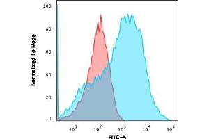Flow Cytometric Analysis of HEK293 cells using Neurofilament Mouse Monoclonal Antibody (NE14) followed by goat anti-Mouse IgG-CF488 (Blue); Isotype control (Red). (NEFH antibody)