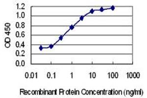 Detection limit for recombinant GST tagged FBXO41 is 0. (FBXO41 antibody  (AA 400-498))