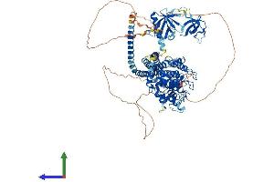 AlphaFold protein structure predicition of Mouse Recombinant Asap2 Protein, UniprotID Q7SIG6 (ASAP2 Protein (AA 1-958) (His tag))