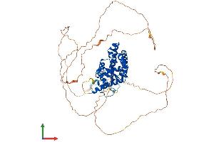 Protein Structure (PS) image for Eyes Absent Homolog 1 (EYA1) (AA 1-591) protein (His tag) (ABIN7563562)