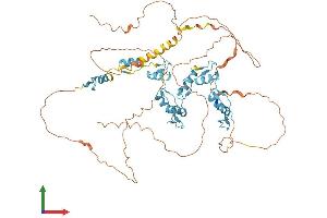 AlphaFold protein structure predicition of Human Recombinant ZNF652 Protein, UniprotID Q9Y2D9